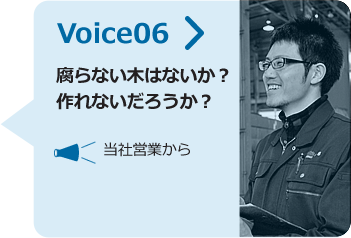 voice06